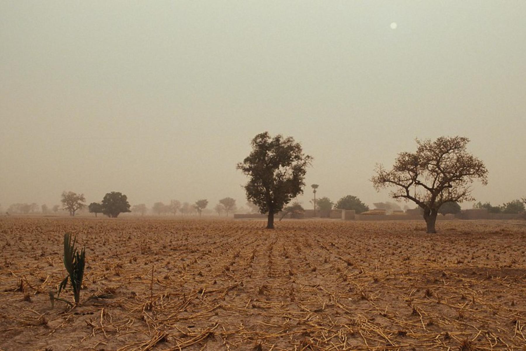 Mali landscape_Photo: Curt Carnemark / World Bank