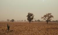 Mali landscape_Photo: Curt Carnemark / World Bank