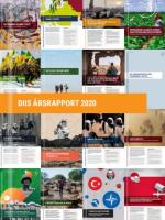 DIIS Årsrapport 2020