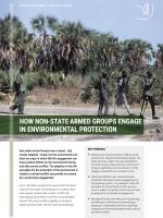 Cover for brief on non-state armed groups