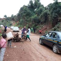 Rebel roadblock in Eastern Congo