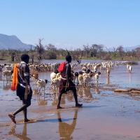 shepherds walking in Africa