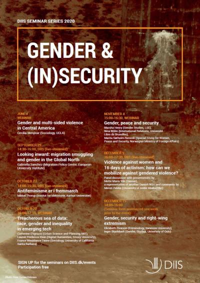 Poster for Gender and insecurity event series 