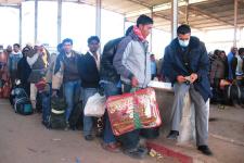tunisian migrants