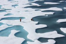 climate-science-arctic