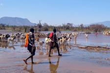 shepherds walking in Africa