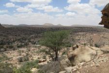 Nauja Kleist: Studying Somali Diaspora Humanitarianism – Some Methodological Considerations