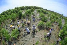 Volunteers plant trees in Thailand