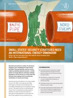 Cover_small states security strategies need an international energy dimension