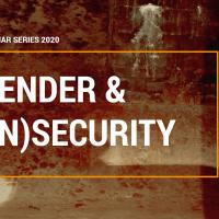 Gender and insecurity diis event series 2020 banner