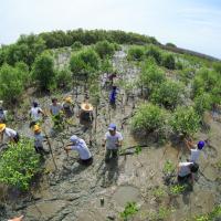 Volunteers plant trees in Thailand