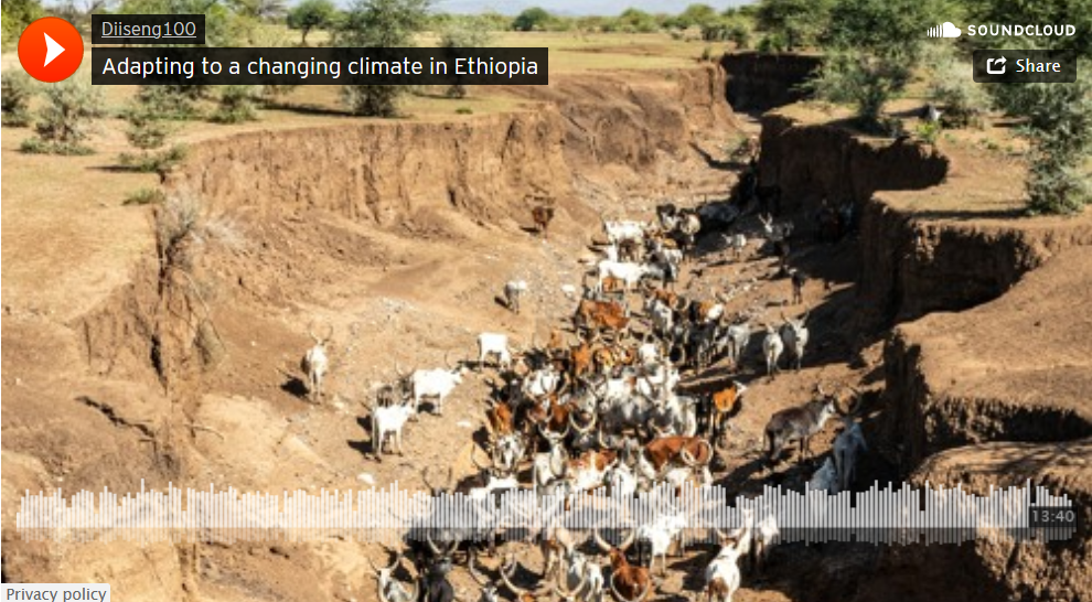 Adapting to a changing climate in Ethiopia